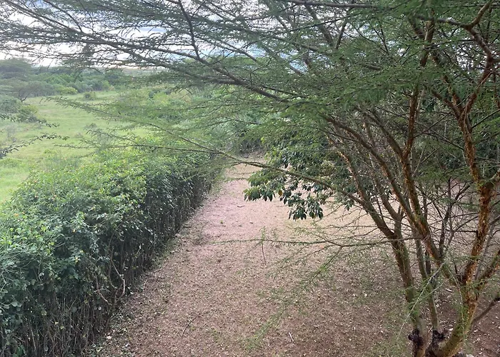 Olaloi Mara Camp