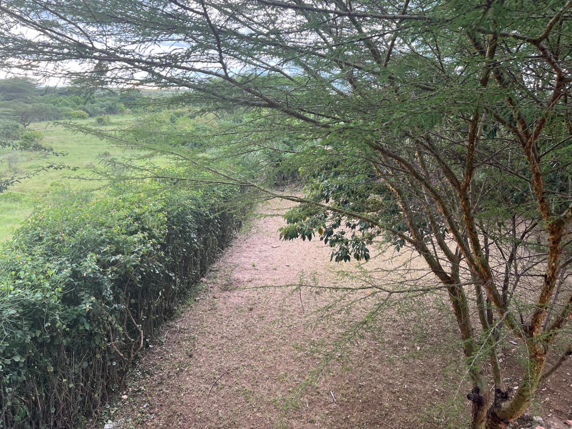Olaloi Mara Camp Lodge Maasai Mara